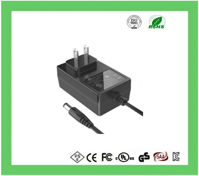 24W Power Adapter